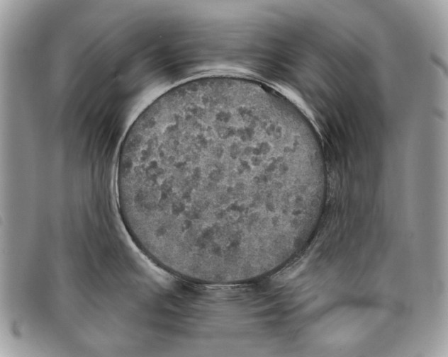 X0000097811391200804110939