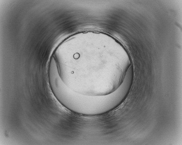 X0000097811392200804110939