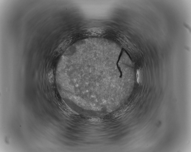 X0000097811395200804110938