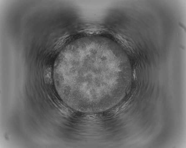 X0000097811396200804110938