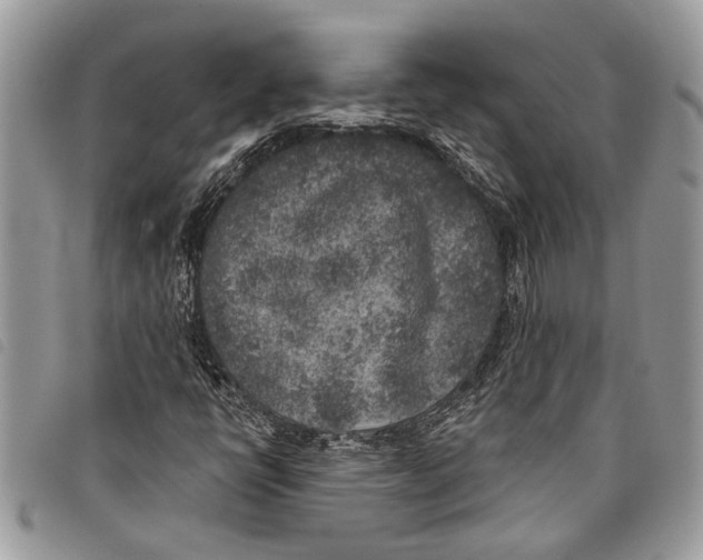 X0000097811398200804110938