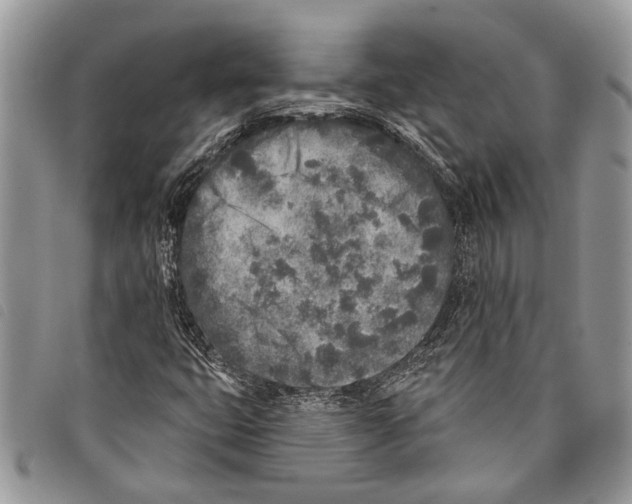 X0000097811399200804110938