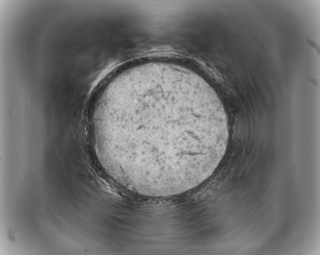 X0000097811400200804110938