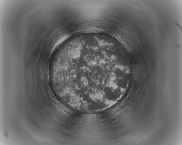 X0000097811402200804110938