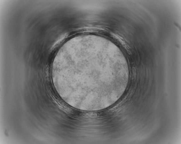 X0000097811403200804110938