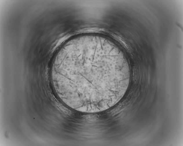 X0000097811404200804110938