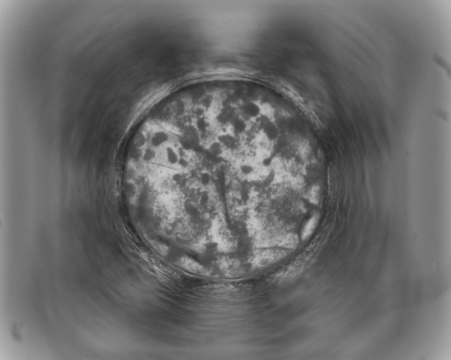 X0000097811405200804110938