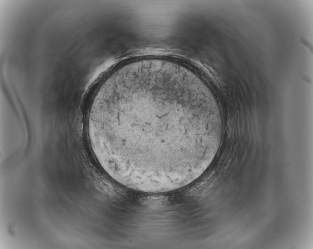 X0000097811406200804110938