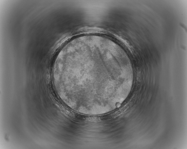 X0000097811407200804110938