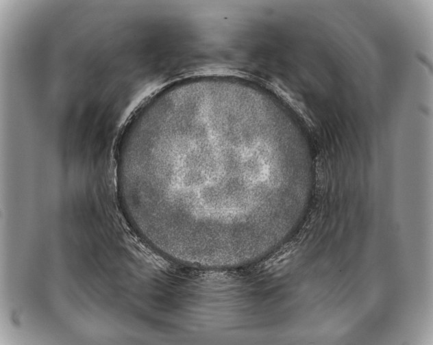 X0000097811408200804110938