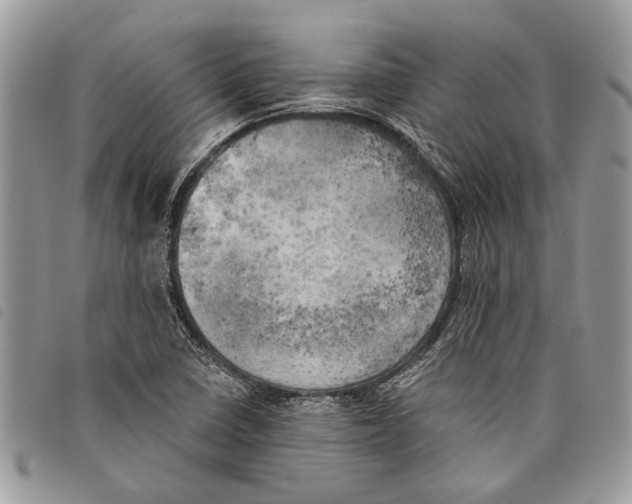 X0000097811410200804110938