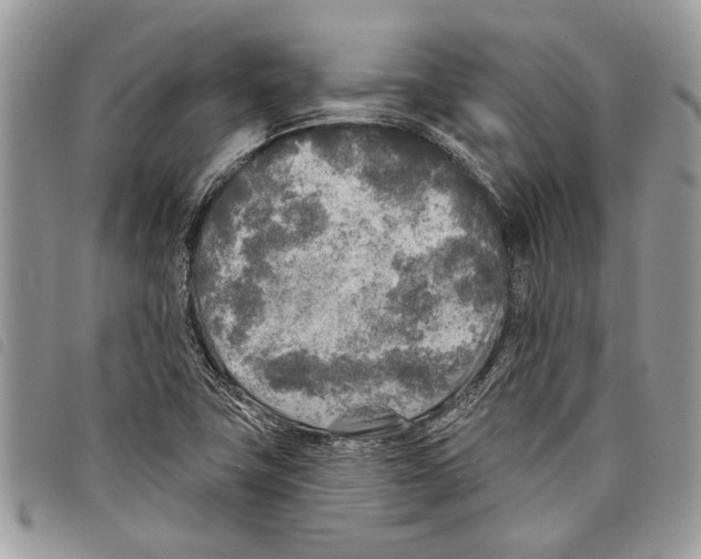 X0000097811411200804110938