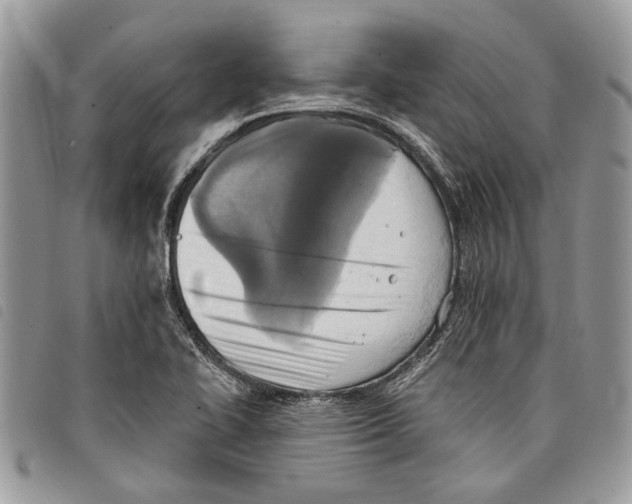 X0000097811414200804110938