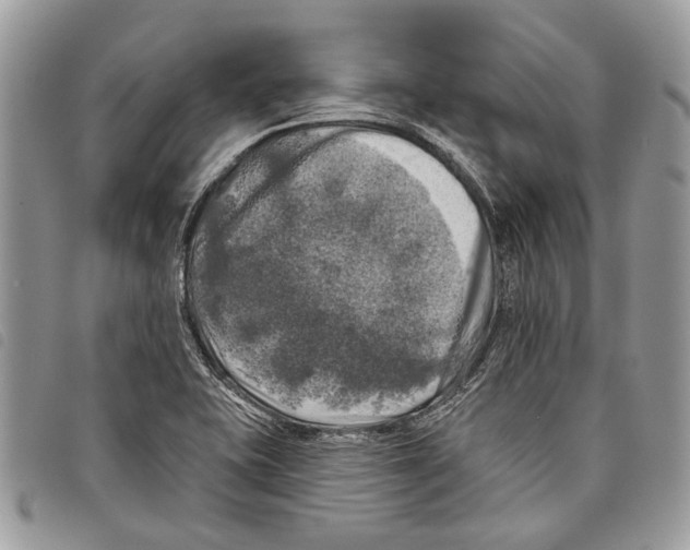 X0000097811415200804110938