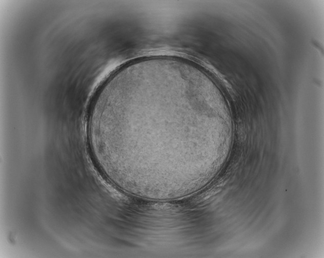 X0000097811416200804110938