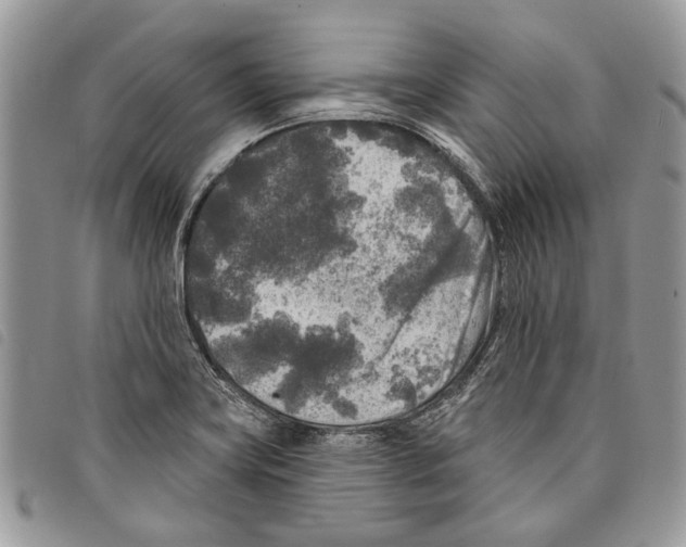 X0000097811419200804110938