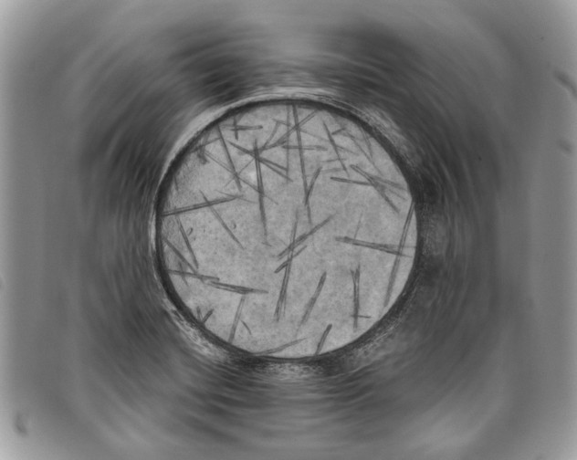 X0000097811420200804110938