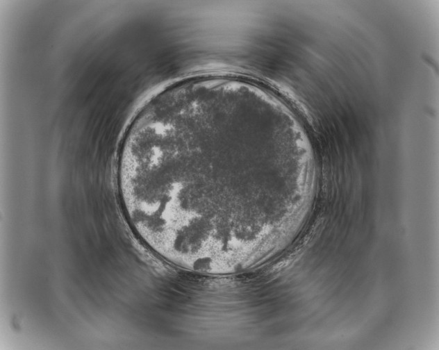 X0000097811421200804110938