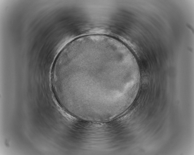 X0000097811423200804110938