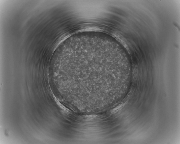 X0000097811425200804110938