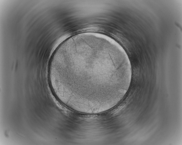 X0000097811426200804110938