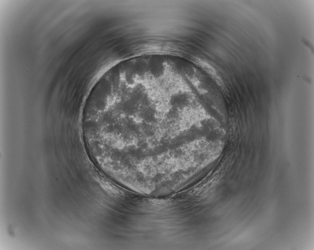 X0000097811427200804110938