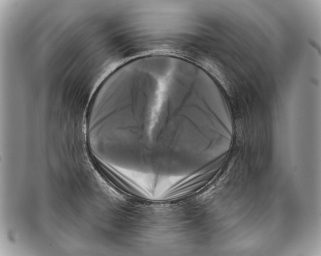 X0000097811428200804110938