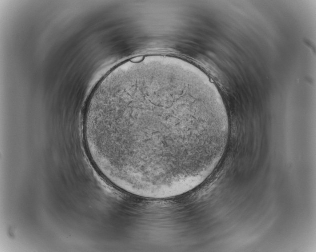 X0000097811430200804110939