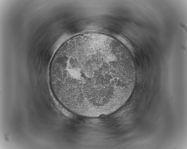 X0000097811431200804110939