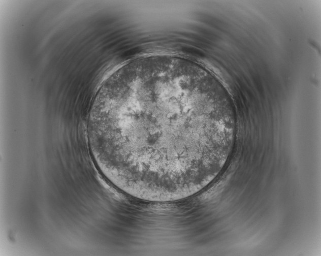 X0000097811433200804110939