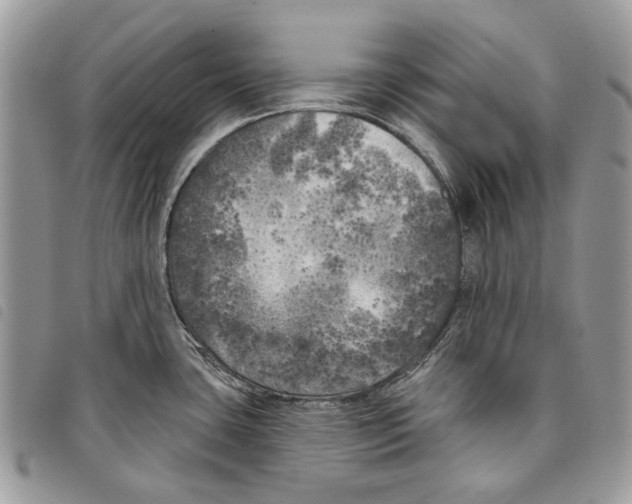 X0000097811435200804110939