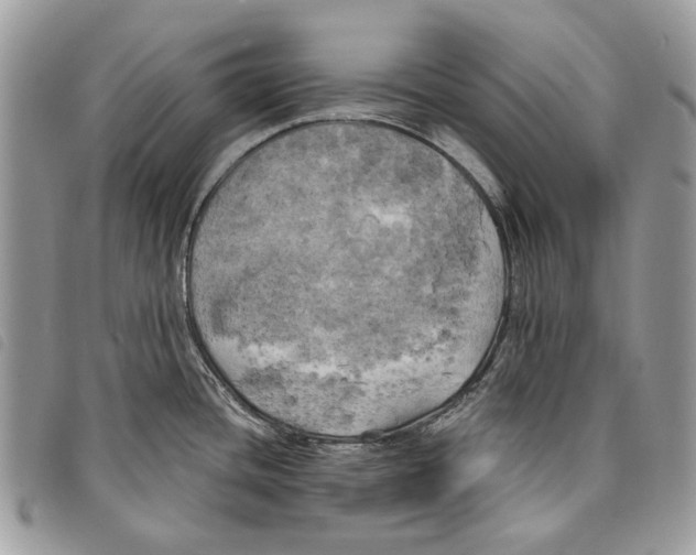 X0000097811436200804110939