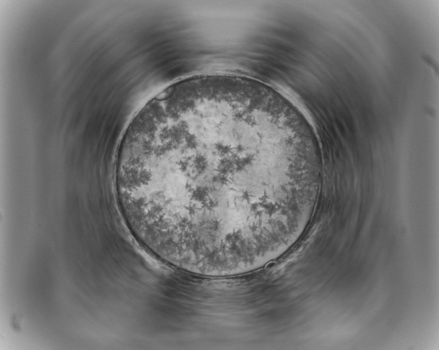 X0000097811437200804110939