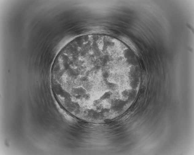 X0000097811439200804110939