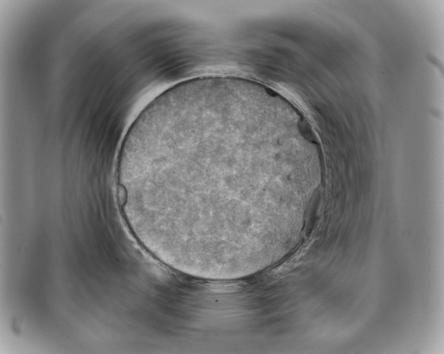 X0000097811440200804110939