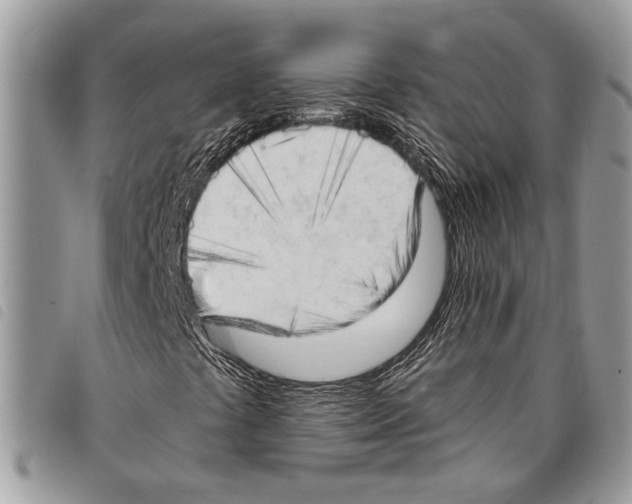 X0000097811441200804110938