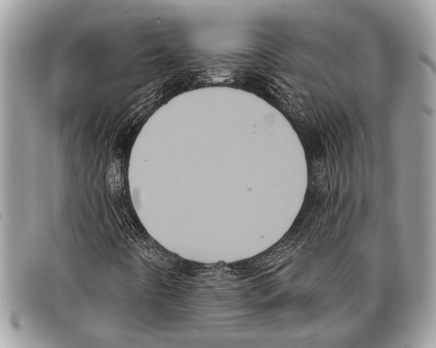 X0000097811442200804110938