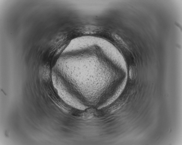 X0000097811444200804110938