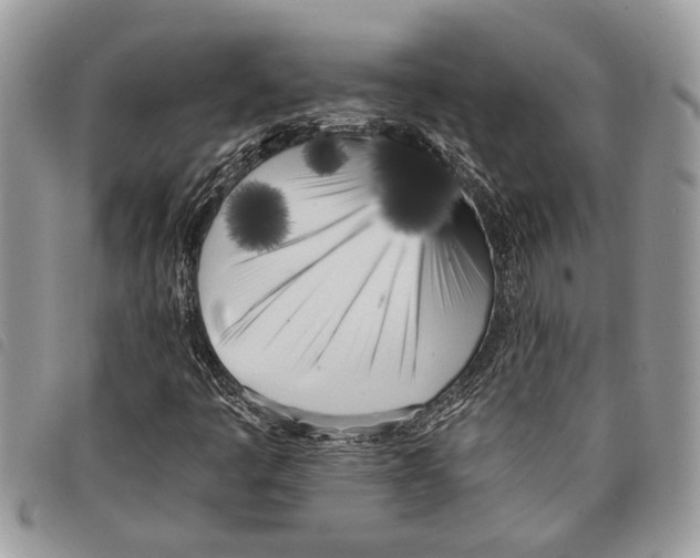 X0000097811445200804110938