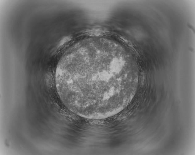 X0000097811446200804110938