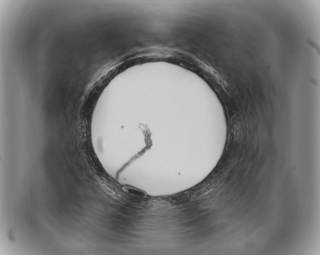 X0000097811448200804110938