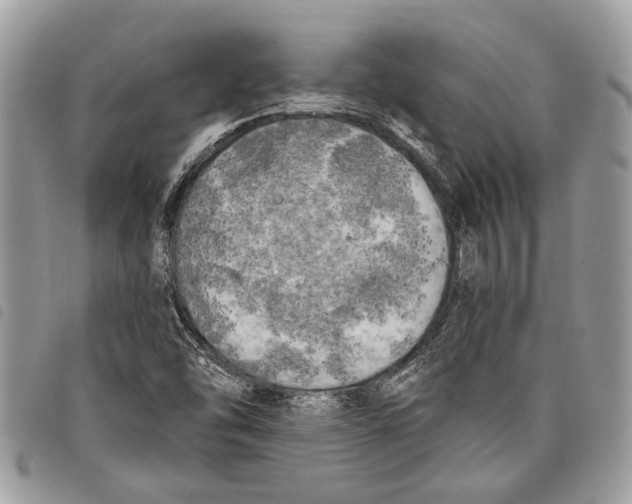 X0000097811454200804110938