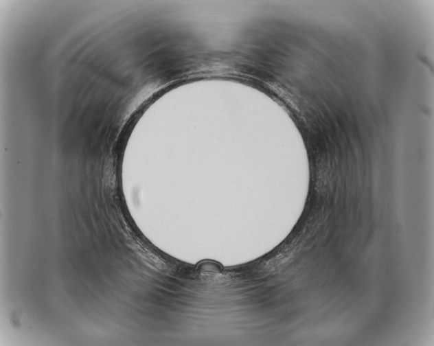 X0000097811458200804110938