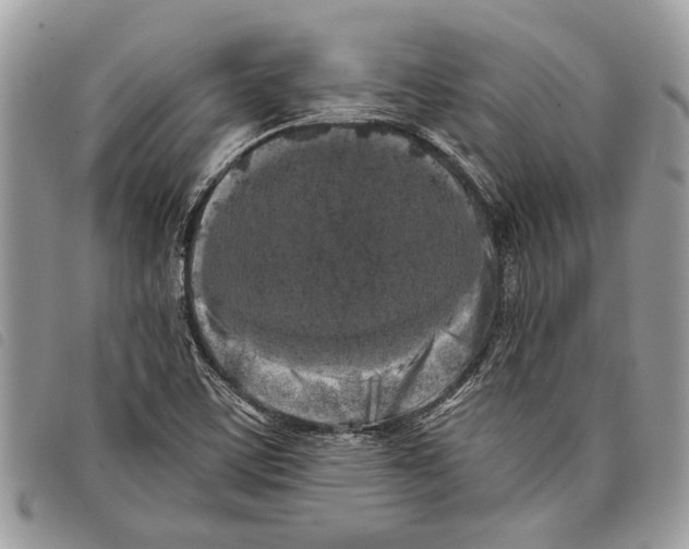 X0000097811459200804110938