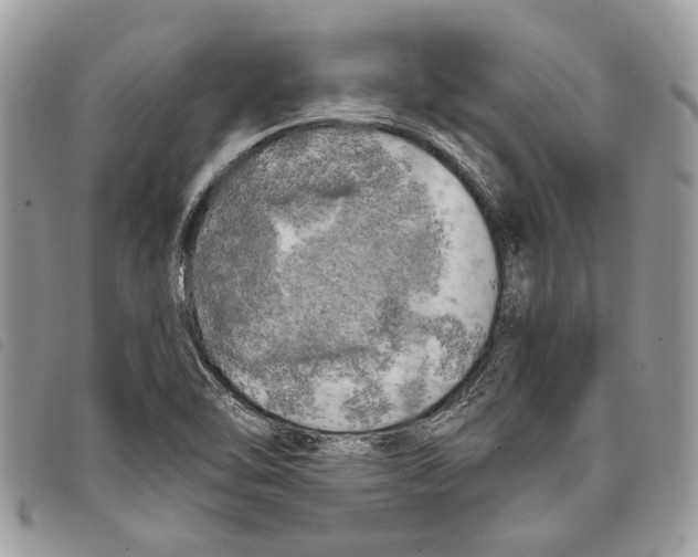 X0000097811462200804110938