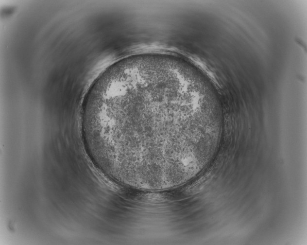 X0000097811463200804110938