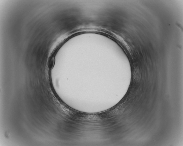 X0000097811464200804110938