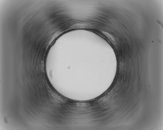 X0000097811465200804110938