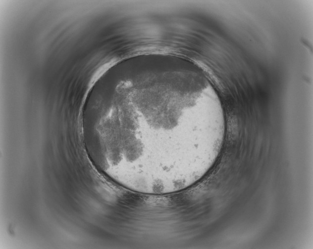 X0000097811466200804110938