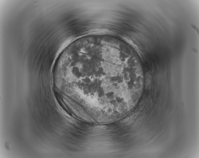 X0000097811467200804110938